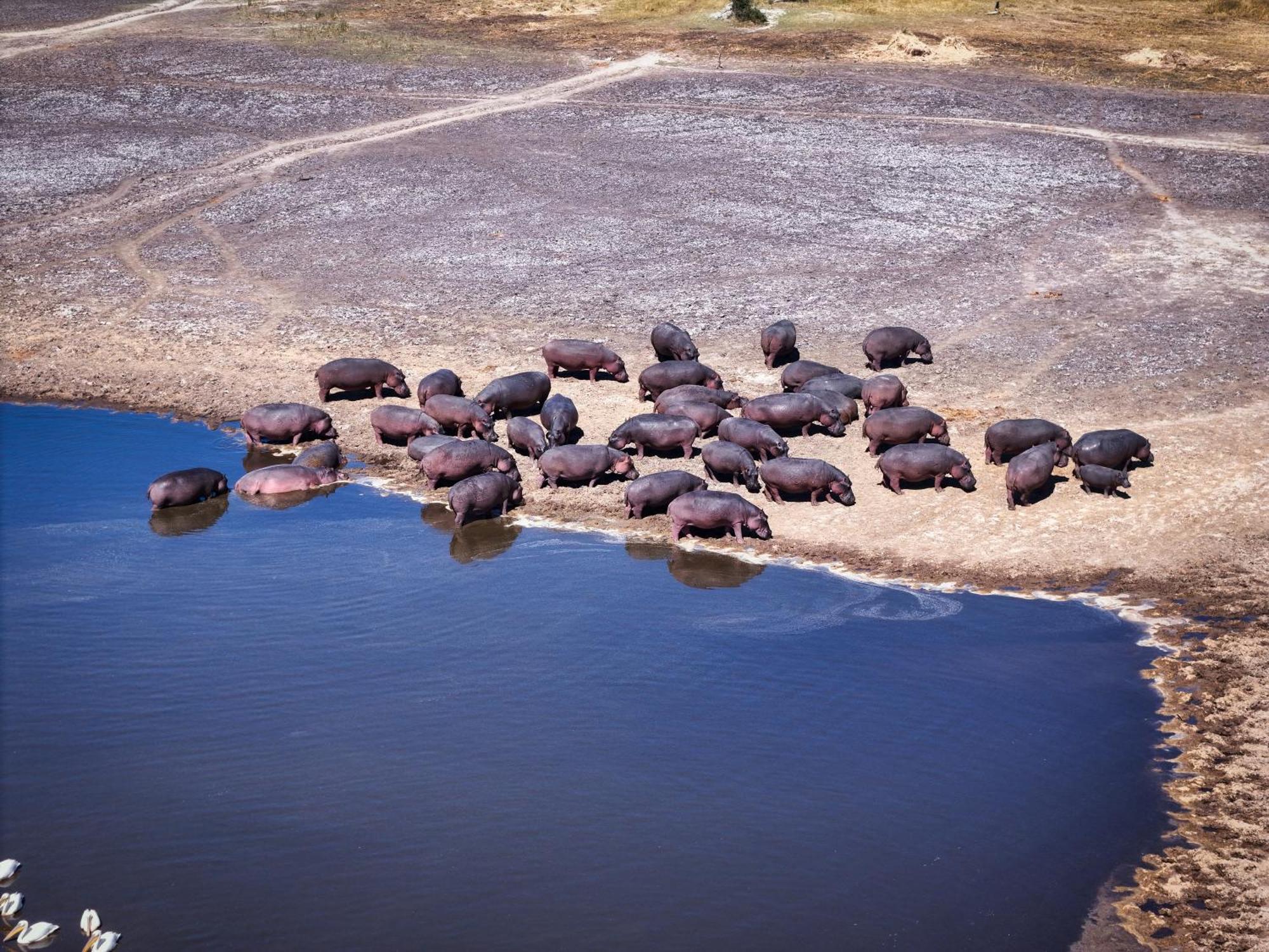 Golentle Home Stay Maun Dış mekan fotoğraf