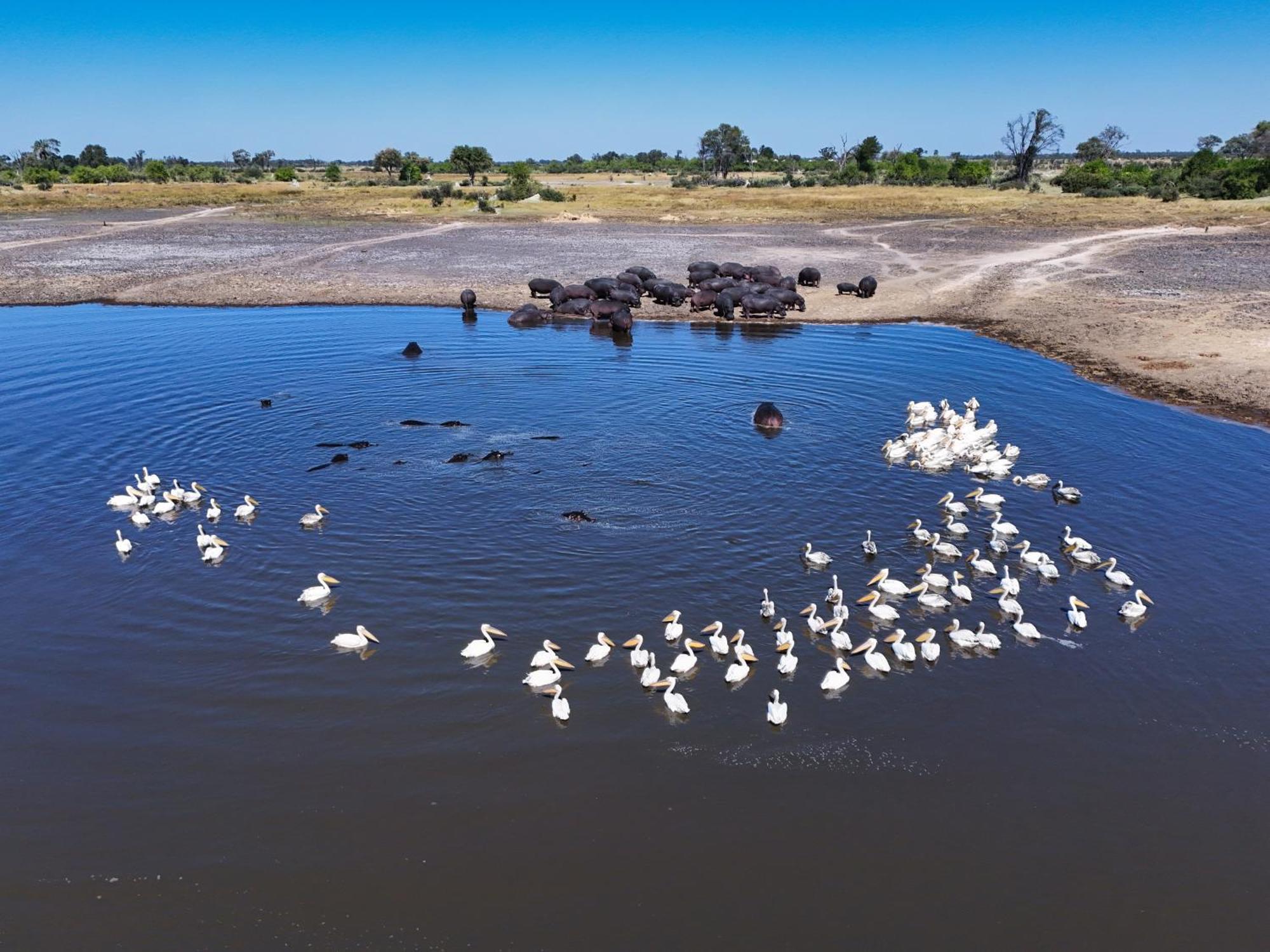 Golentle Home Stay Maun Dış mekan fotoğraf