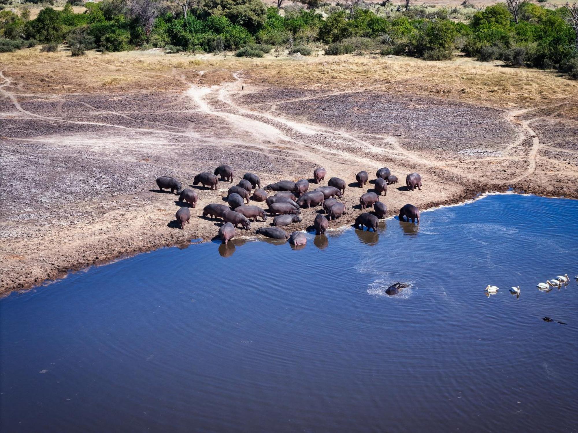 Golentle Home Stay Maun Dış mekan fotoğraf