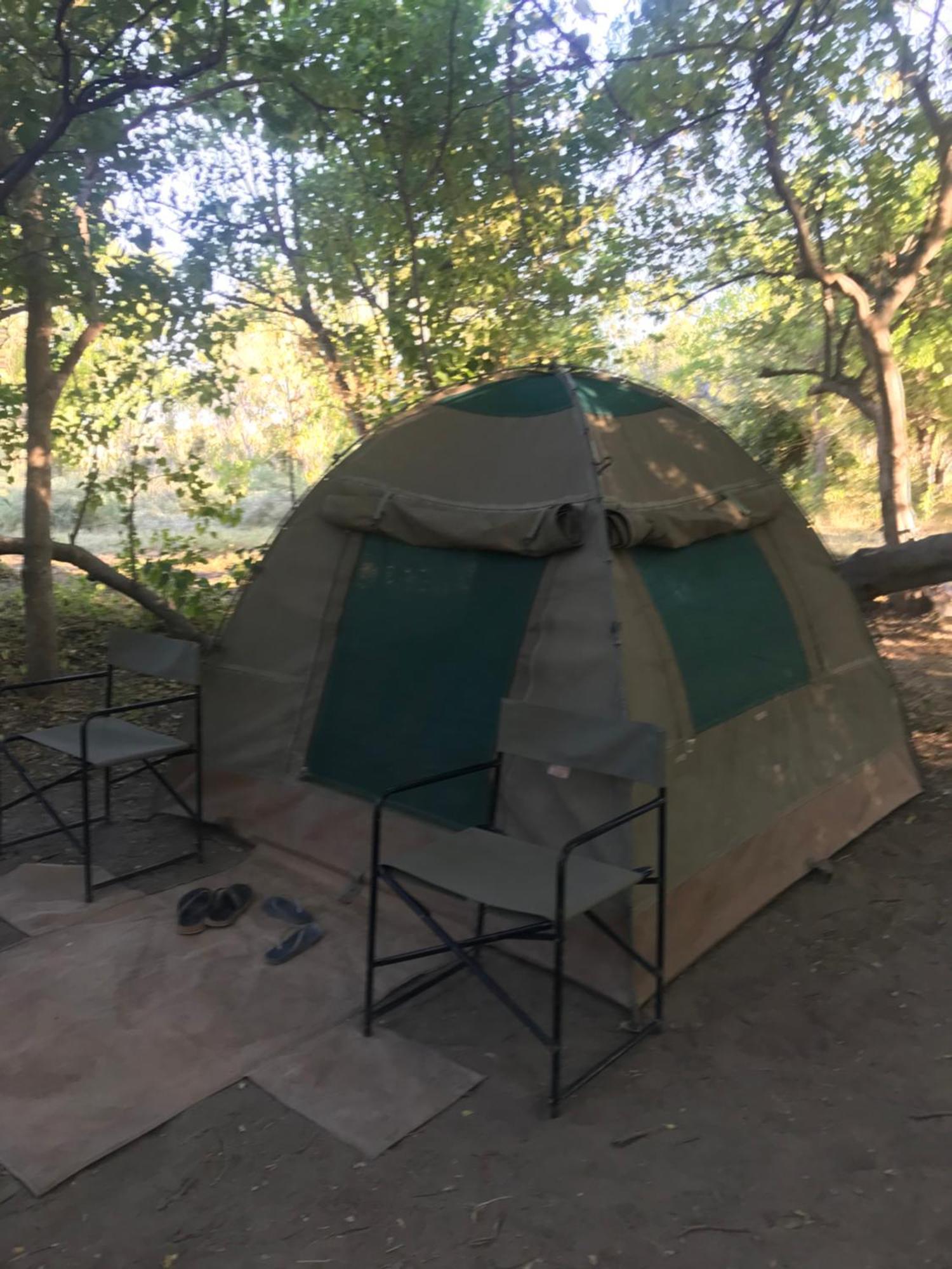 Golentle Home Stay Maun Dış mekan fotoğraf