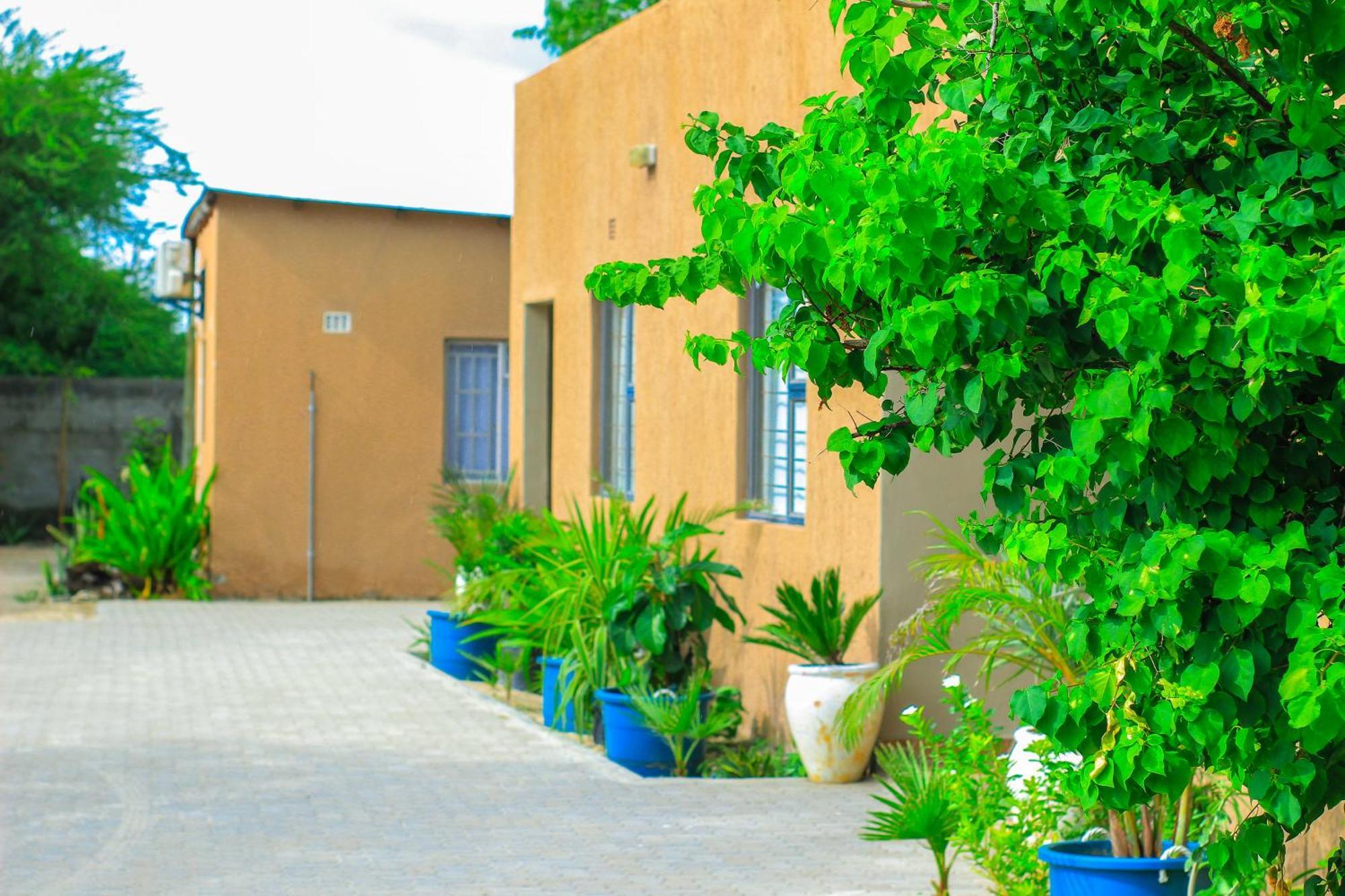 Golentle Home Stay Maun Dış mekan fotoğraf