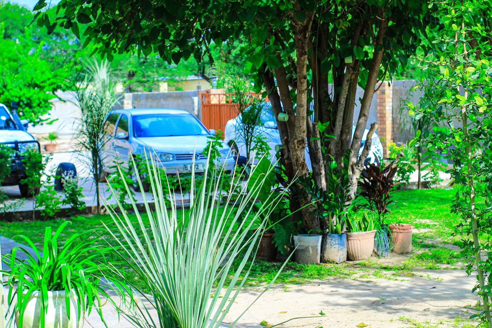 Golentle Home Stay Maun Dış mekan fotoğraf